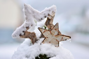 Sneeuwster